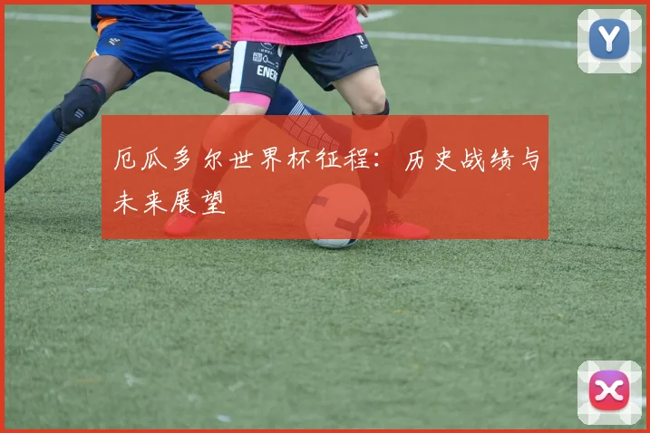 厄瓜多尔世界杯征程：历史战绩与未来展望